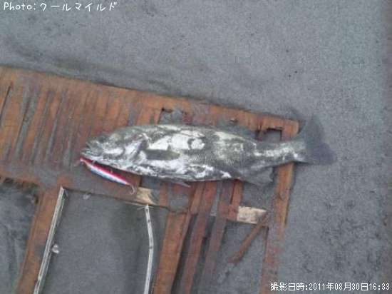 �����Х�