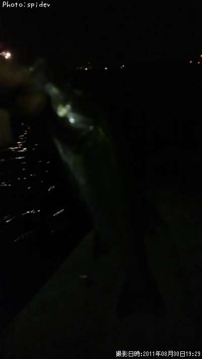 �����Х�