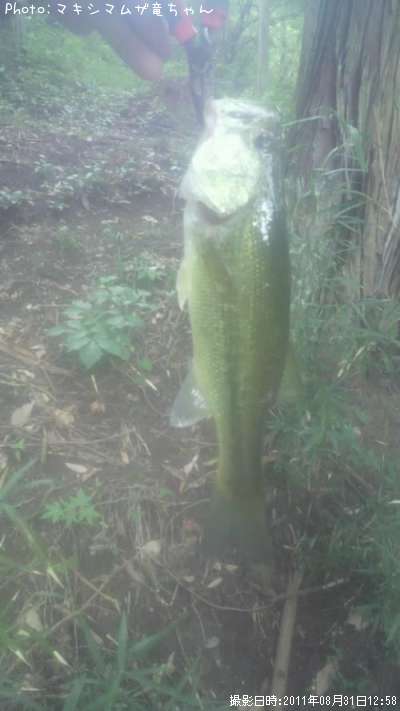 �֥�å��Х�