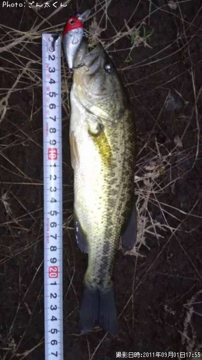 �֥�å��Х�