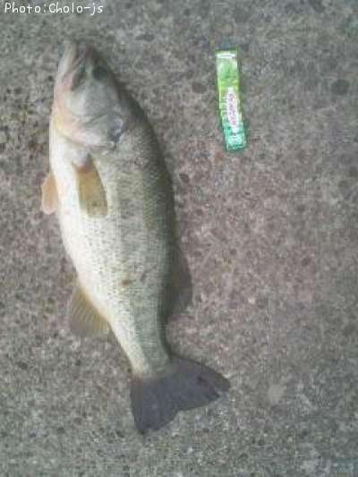 �֥�å��Х�