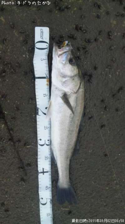 �����Х�