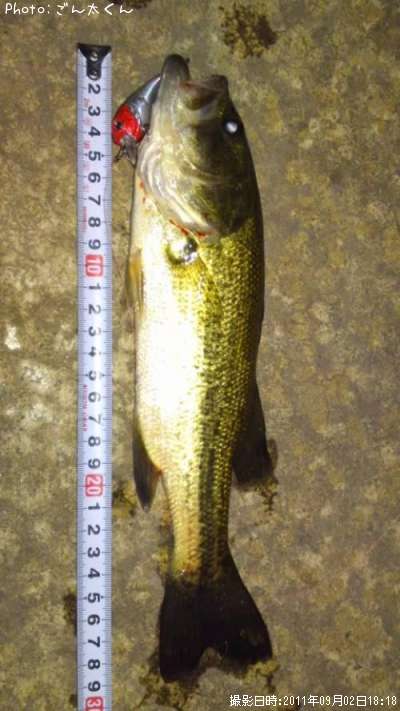 �֥�å��Х�