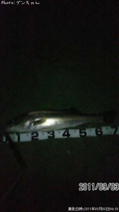 �����Х�