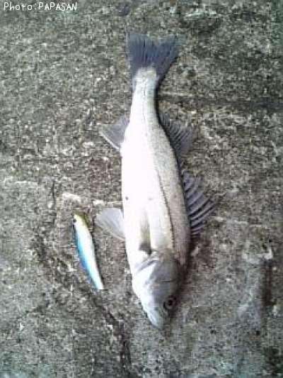 �����Х�