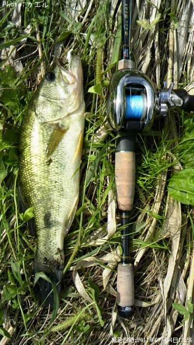 �֥�å��Х�