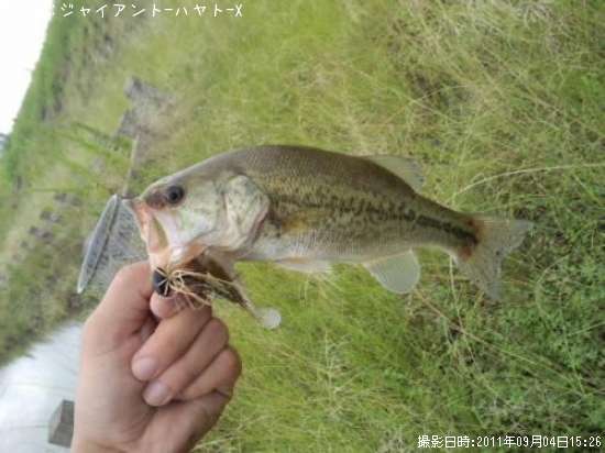 �֥�å��Х�