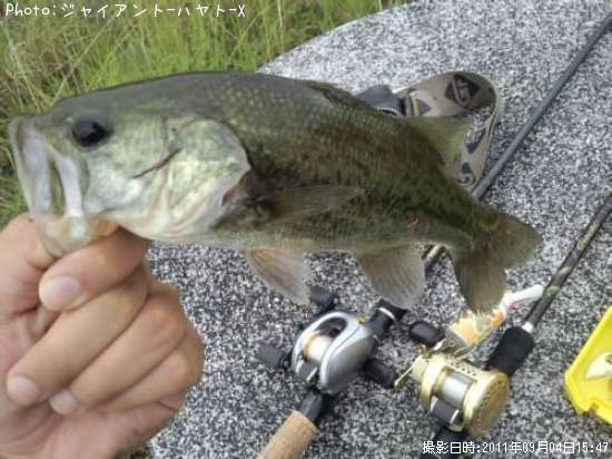 �֥�å��Х�