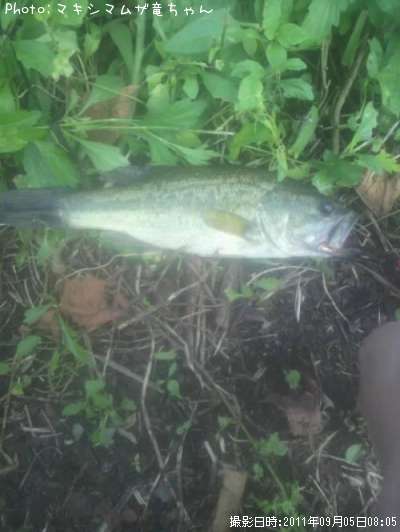 �֥�å��Х�