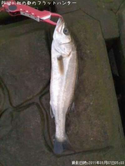 �����Х�