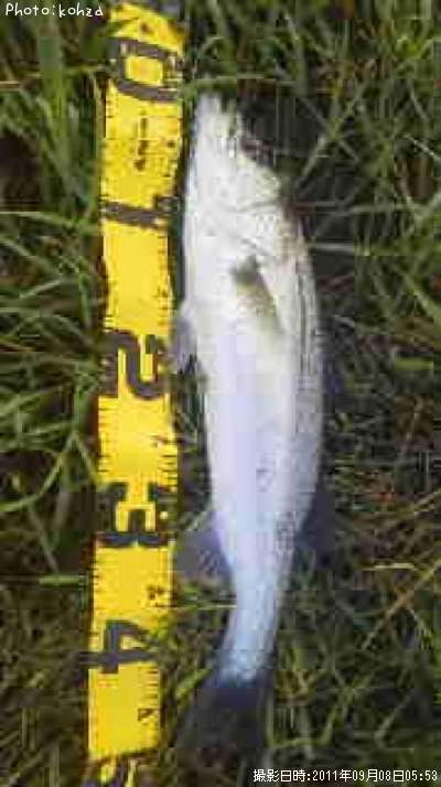 �����Х�