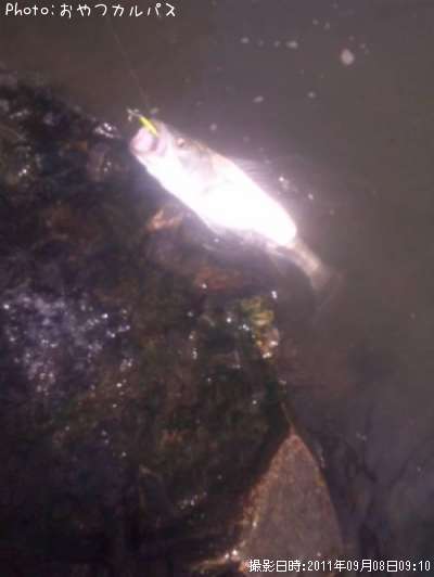 �����Х�