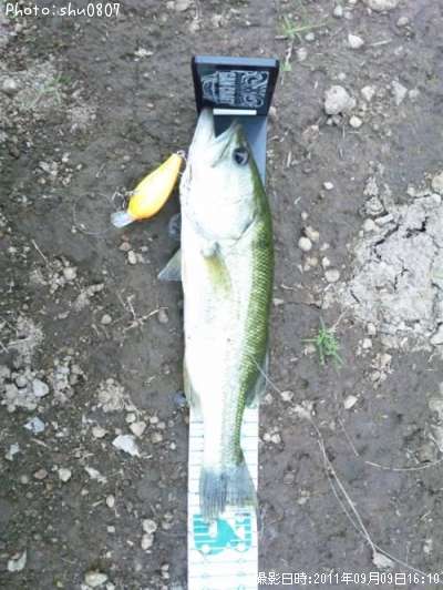 �֥�å��Х�