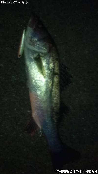 �����Х�