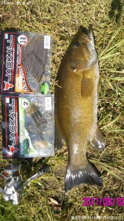 ���⡼��ޥ����Х�