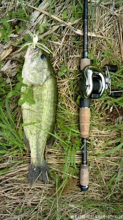 �֥�å��Х�