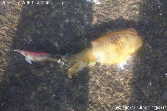 �����ꥤ��