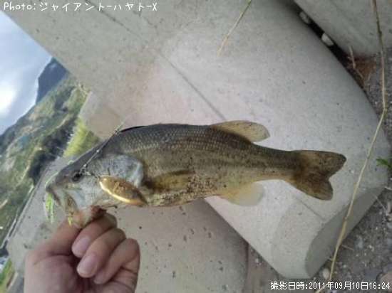 �֥�å��Х�