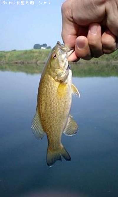 �������Х�