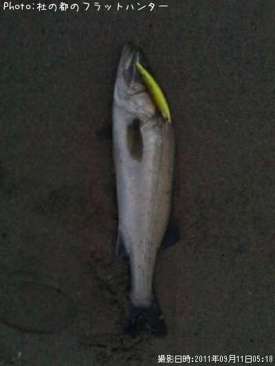 �����Х�