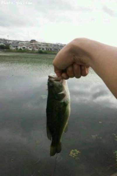 �֥�å��Х�