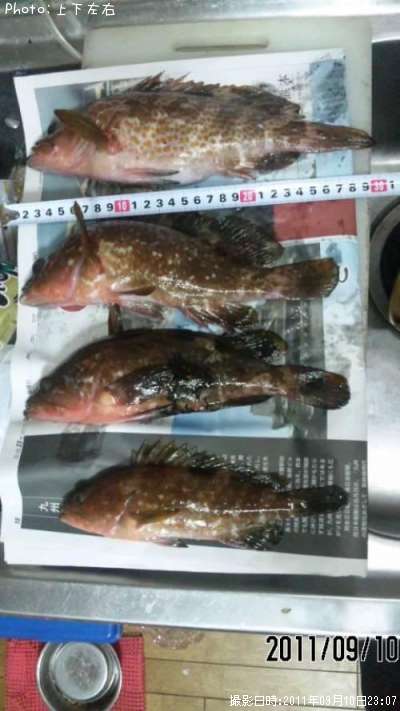 �����ϥ�