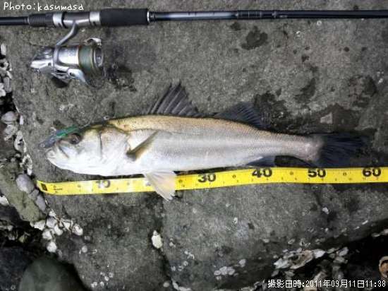 �����Х�