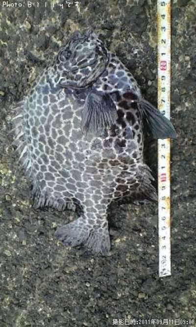 ������������