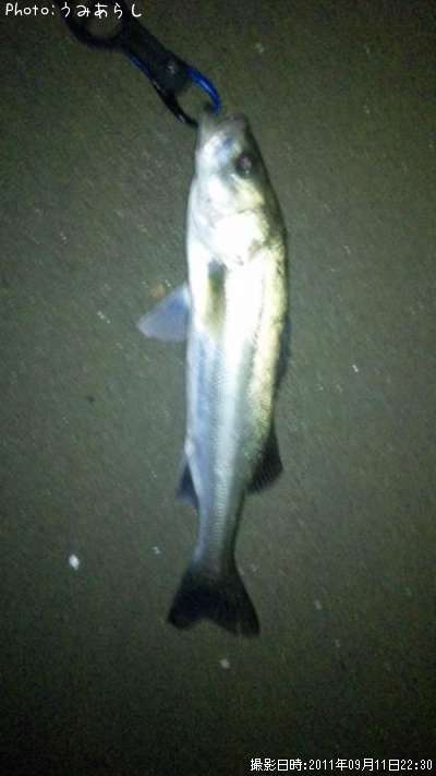 �����Х�