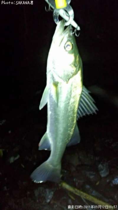 �����Х�