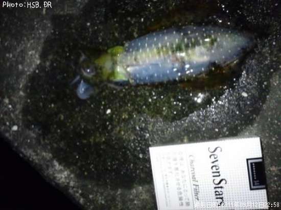 �����ꥤ��