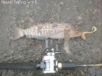 �����ʥ�