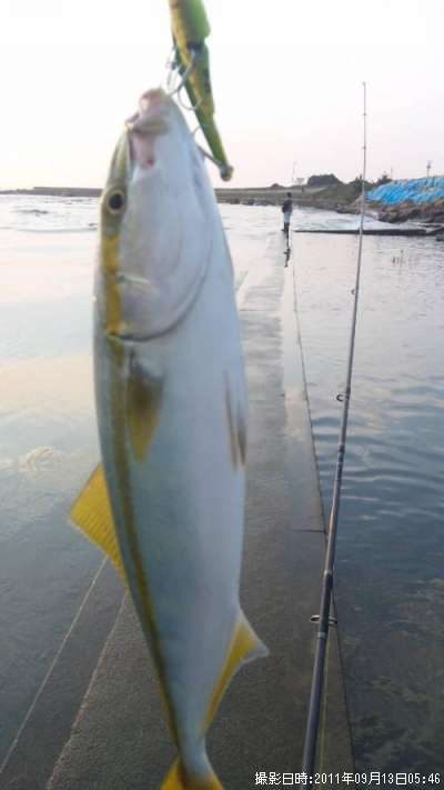 �����å�