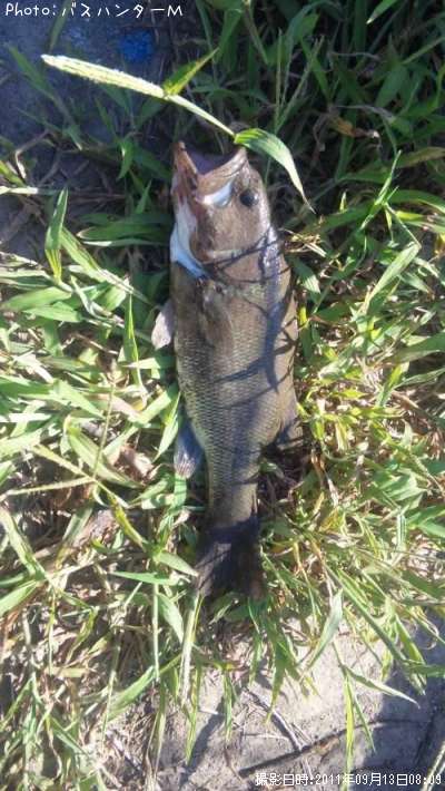 �֥�å��Х�