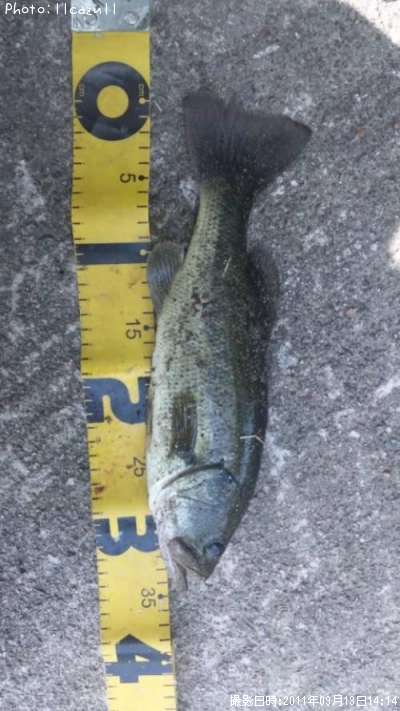 �֥�å��Х�