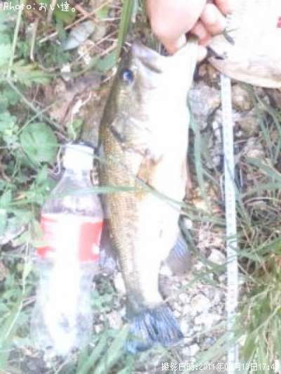 �֥�å��Х�