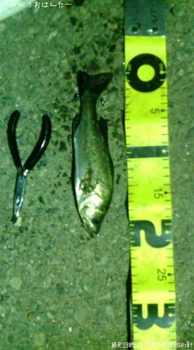 �����Х�