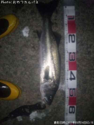 �����Х�