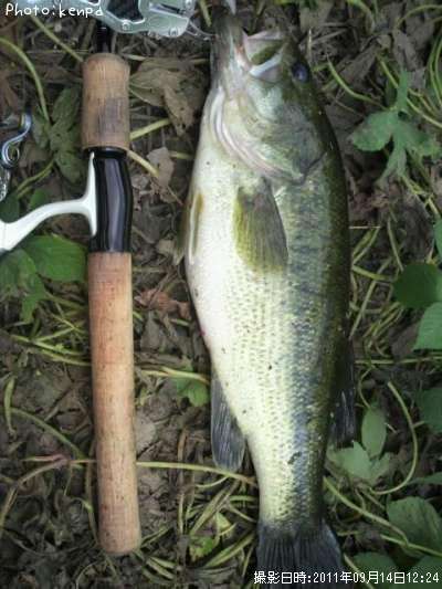 �֥�å��Х�