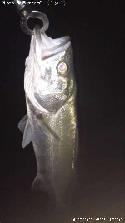 �����Х�