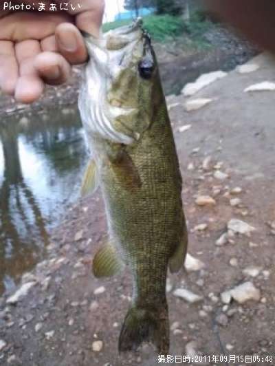 �֥�å��Х�