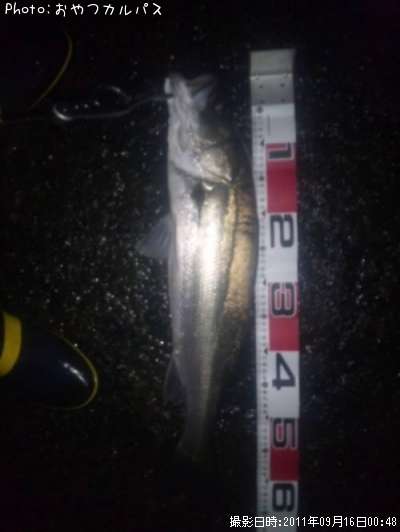 �����Х�