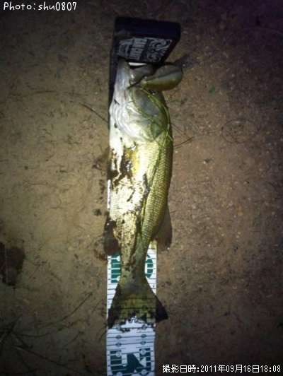 �֥�å��Х�