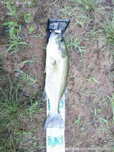 �֥�å��Х�