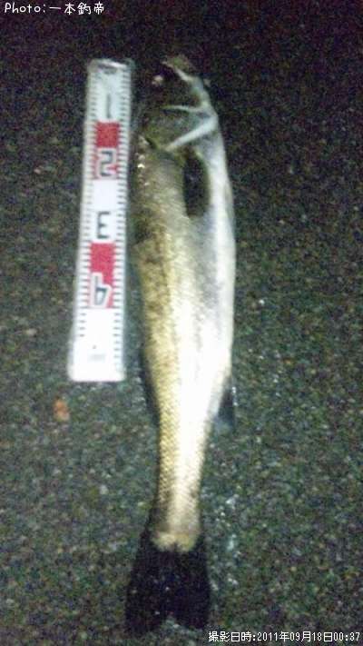 �����Х�