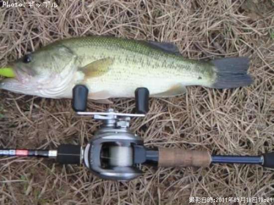 �֥�å��Х�