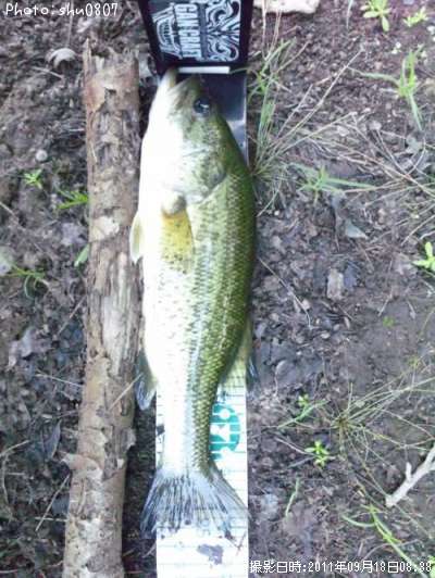 �֥�å��Х�