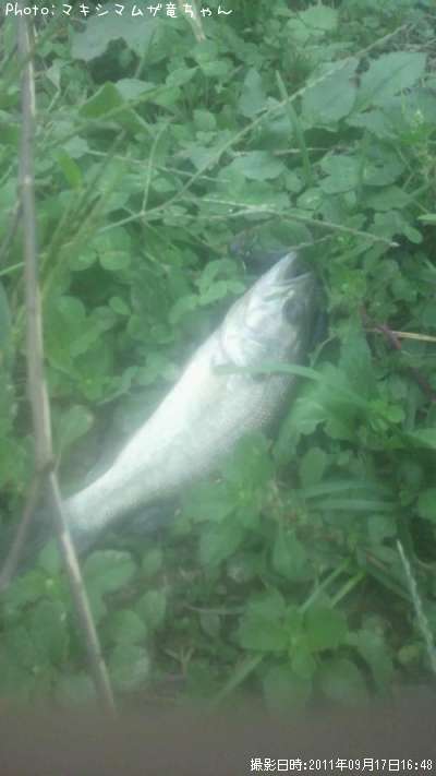 �֥�å��Х�