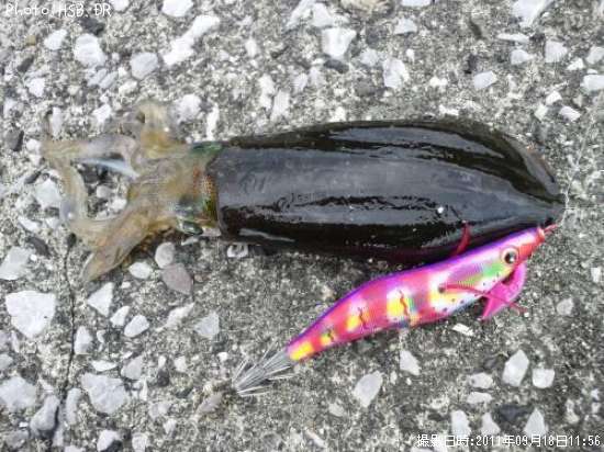 �����ꥤ��