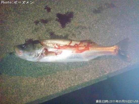 �����Х�